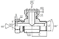 BSP-FemaleBSP-FemaleBSP-Male