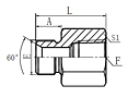 BSP-Male-60SeatBSP-Female