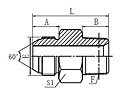 Metric-Male-60--ConeBSPT-Male