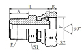 NPT-MaleNPSM-Female-60-Cone.jpg