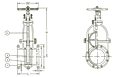 Series F7364 Cast Iron Gate Valve - JIS 10K