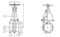 Series F7369 Cast Iron Gate Valve - JIS 16K