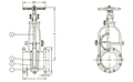 Series F7369 Cast Iron Gate Valve - Korean Standard - JIS 16K