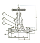 Series F7421 Forged Steel Globe Valve - JIS 20K