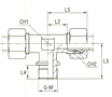 Male Stud Branch Tee Thread BSP Parallel - Equipped B3 Ring