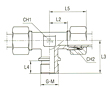 Male Stud Branch Tee Thread BSP Parallel - Equipped B4 Ring