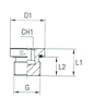 Closure Plug with Exagon Socket Head with Elastomer Seal Thread BSP Parallel