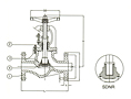 PN 16 Cast Iron Globe Valve, SDNR