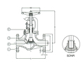 PN 16 Cast Steel Globe Valve, SDNR