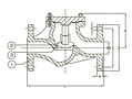 PN 40 Cast Steel Lift Check Valve, Globe Pattern