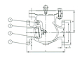 Class 150 Bronze Swing Check Valve, Bolted Cover