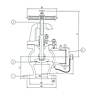 Class 150/300 Hose Angle Valve, Screwed and Bolted Bonnet - NST Threaded