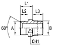 Male Stud Straight Adapter Thread BSP Parallel / BSP Taper