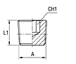 Plug with Exagon Socket Head Thread NPT