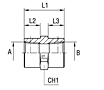 Female Straight Adapter Thread BSP Taper