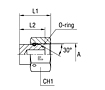 Female Plug with Swivel Nut Thread BSP Parallel