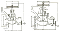 Series F7334 Bronze Hose Globe Valve Nakajima System